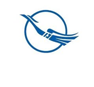 Syrian Arab Airlines